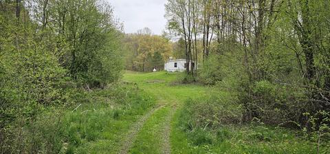 7348 E Day Rd, Bellevue, MI 49021 photo 14