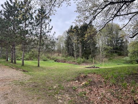 7348 E Day Rd, Bellevue, MI 49021 photo 13