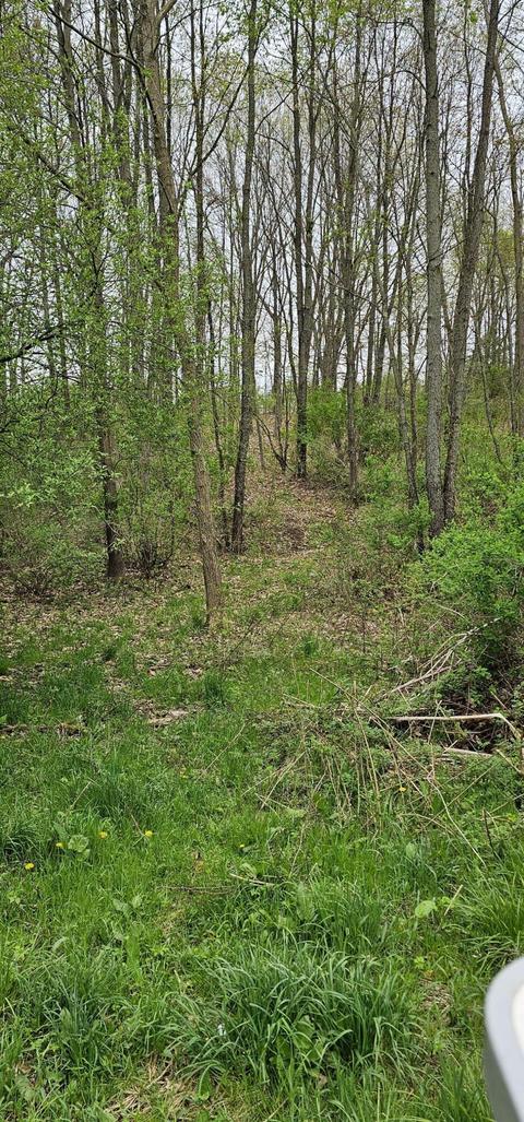 7348 E Day Rd, Bellevue, MI 49021 photo 15