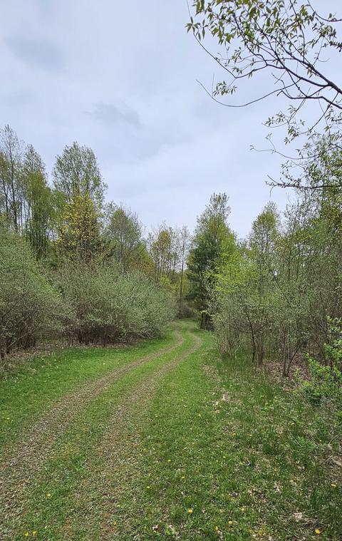 7348 E Day Rd, Bellevue, MI 49021 photo 16