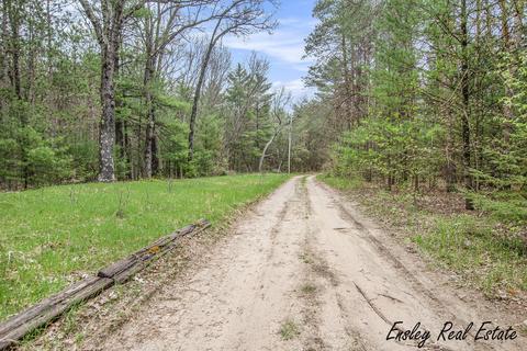 3220 S Locust Ave, White Cloud, MI 49349 photo 49