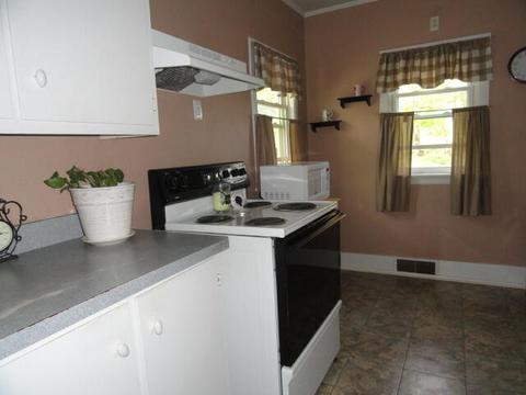 120 E Lytle St, Ionia, MI 48846 photo 14