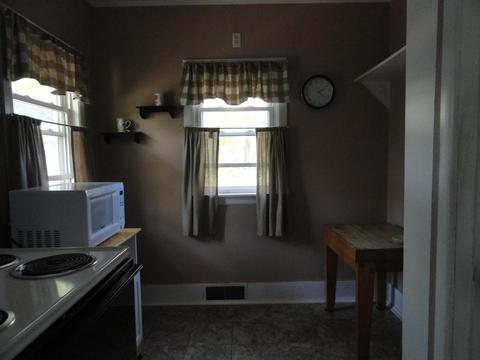 120 E Lytle St, Ionia, MI 48846 photo 23