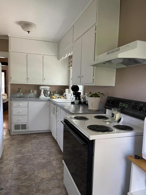 120 E Lytle St, Ionia, MI 48846 photo 4