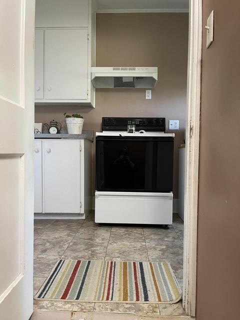 120 E Lytle St, Ionia, MI 48846 photo 44