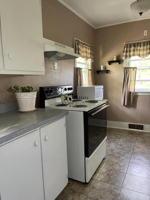 120 E Lytle St, Ionia, MI 48846 photo 47