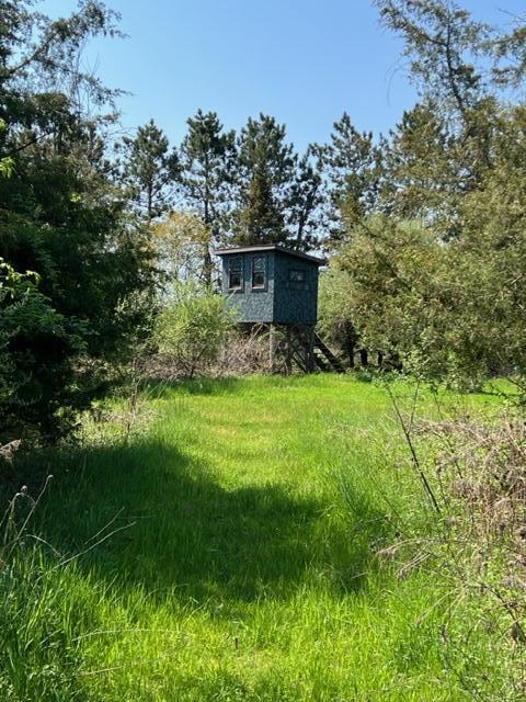 4262 Badger Rd, Lyons, MI 48851 photo 7