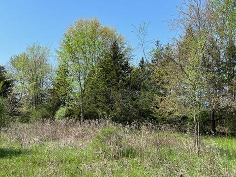 4262 Badger Rd, Lyons, MI 48851 photo 33