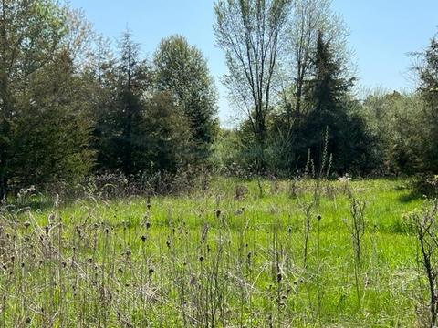 4262 Badger Rd, Lyons, MI 48851 photo 34