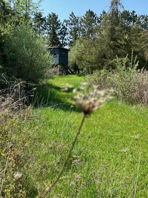 4262 Badger Rd, Lyons, MI 48851 photo 6