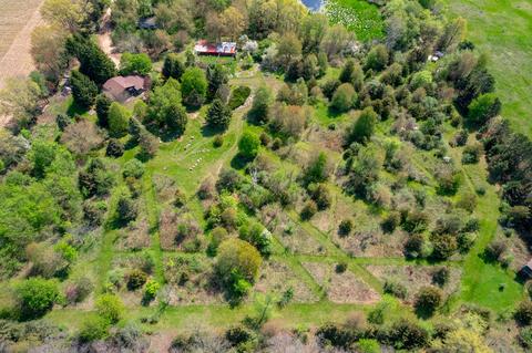 4262 Badger Rd, Lyons, MI 48851 photo 46