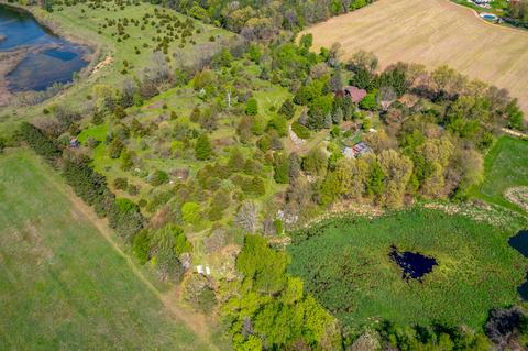 4262 Badger Rd, Lyons, MI 48851 photo 41