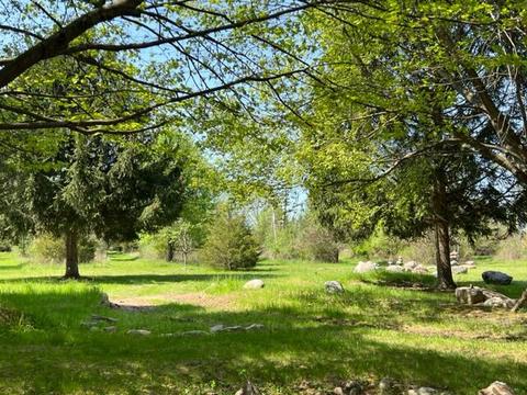 4262 Badger Rd, Lyons, MI 48851 photo 5