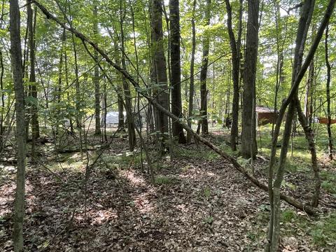 4122 Lone Pine Rd, Harrison, MI 48625 photo 35