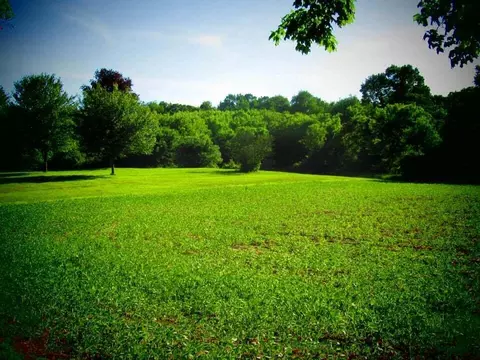 6023 Zahm Rd, Belding, MI 48809 photo 52