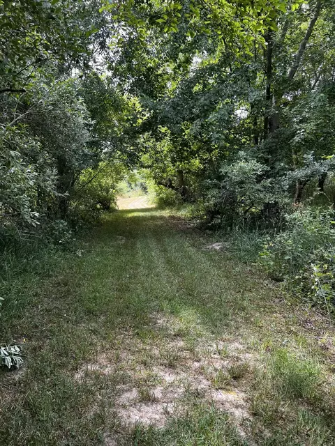6023 Zahm Rd, Belding, MI 48809 photo 55
