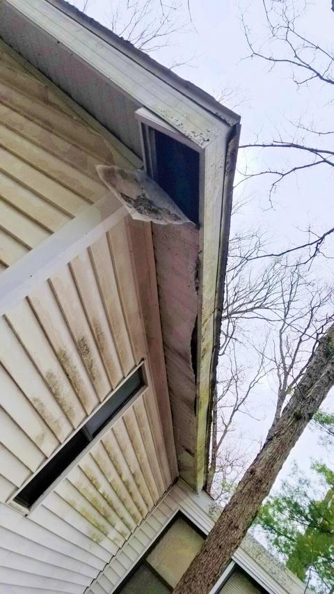 9151 N 32nd Ave, Bitely, MI 49309 photo 54