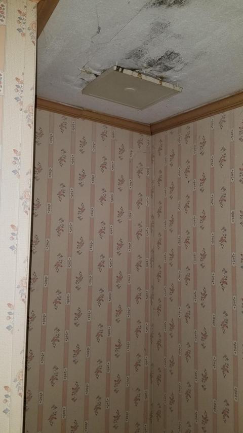 9151 N 32nd Ave, Bitely, MI 49309 photo 47