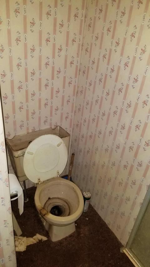 9151 N 32nd Ave, Bitely, MI 49309 photo 46