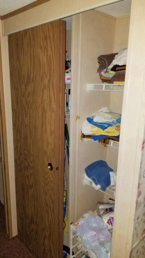 9151 N 32nd Ave, Bitely, MI 49309 photo 25