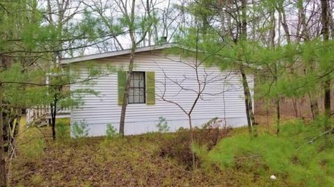 9151 N 32nd Ave, Bitely, MI 49309 photo 3