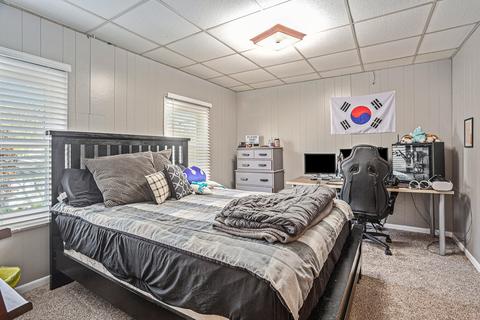 438 Mill St, Saranac, MI 48881 photo 22