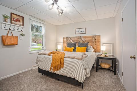438 Mill St, Saranac, MI 48881 photo 14