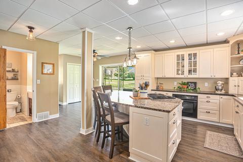 438 Mill St, Saranac, MI 48881 photo 8
