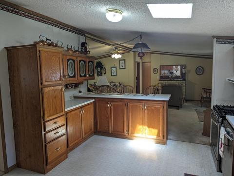 2204 S Forman Rd, Baldwin, MI 49304 photo 9