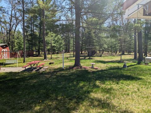 2204 S Forman Rd, Baldwin, MI 49304 photo 46