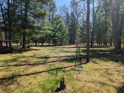 2204 S Forman Rd, Baldwin, MI 49304 photo 45
