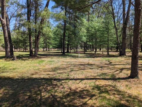 2204 S Forman Rd, Baldwin, MI 49304 photo 51