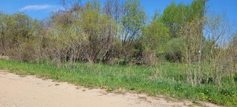 1894 Monroe Rd, Hart, MI 49420 photo 18