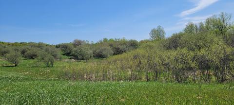 1894 Monroe Rd, Hart, MI 49420 photo 2