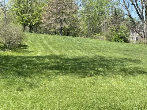 15637 24th Avenue Middle Lot #MIDDLE, Marne, MI 49435