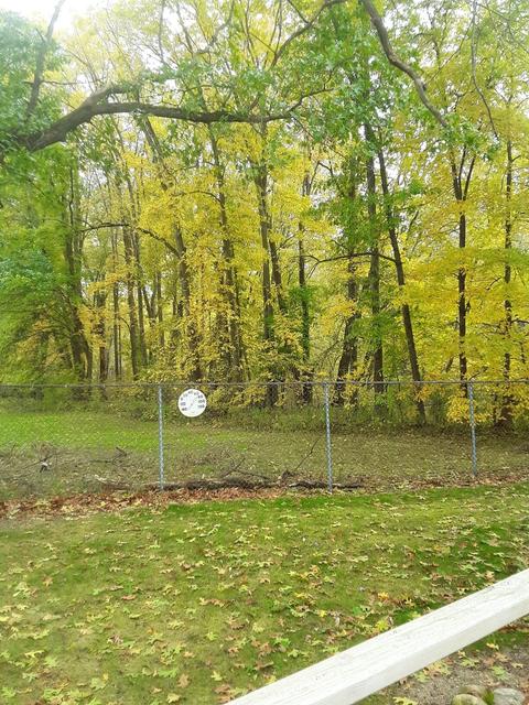 161 Meadow Ln, Tekonsha, MI 49092 photo 15
