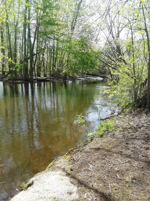 161 Meadow Ln, Tekonsha, MI 49092