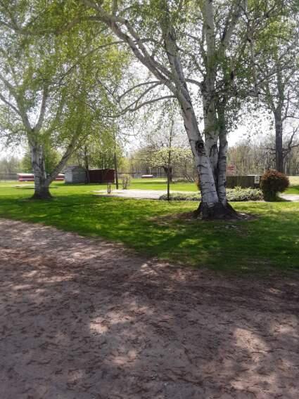 161 Meadow Ln, Tekonsha, MI 49092 photo 3