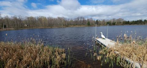 5555 Point Dr, Gladwin, MI 48624 photo 11