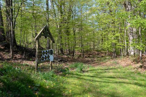 10870 Harkness Rd, Belding, MI 48809 photo 39