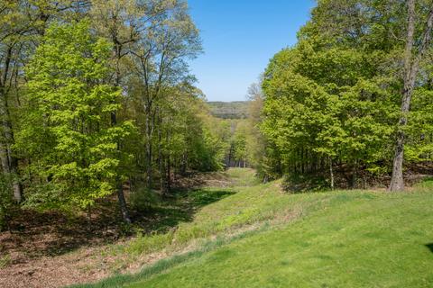 10870 Harkness Rd, Belding, MI 48809 photo 38