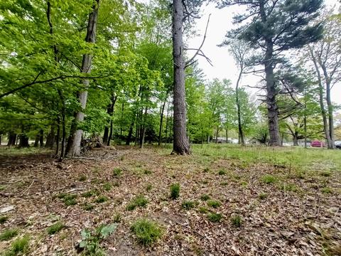 Morris St., Pentwater, MI 49449