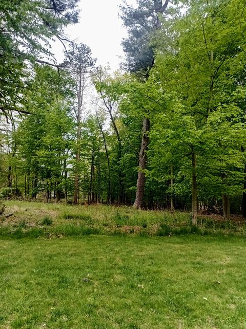 Morris St., Pentwater, MI 49449 photo 3
