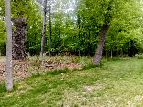 Morris St., Pentwater, MI 49449 photo 2