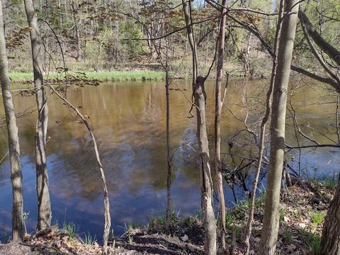 W Rhinehold Road, Free Soil, MI 49411