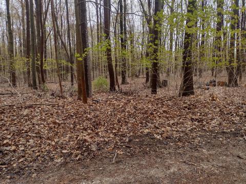 002 N Darling Ln, Fennville, MI 49408