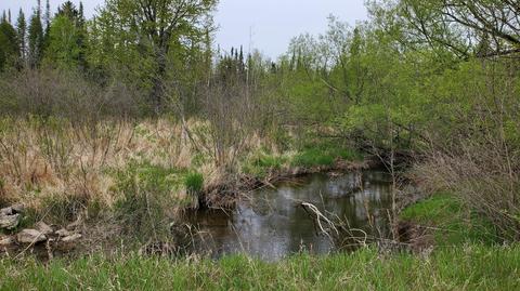 0 Greenwood Rd, West Branch, MI 48661