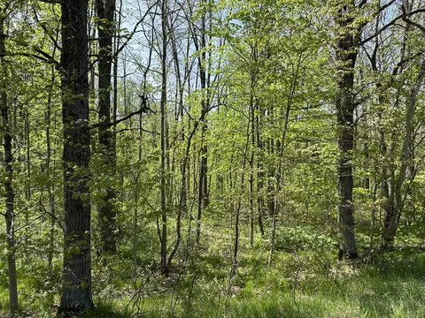 W Hc-edmore Rd, Howard City, MI 49329