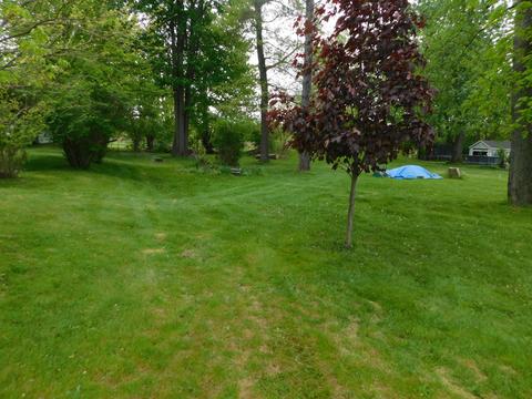 10741 Waldron Rd, Jerome, MI 49249 photo 4