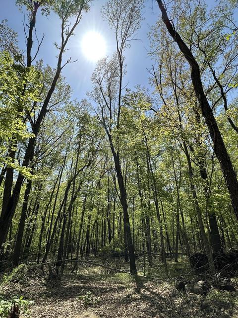 6 Mile Rd, Athens, MI 49011